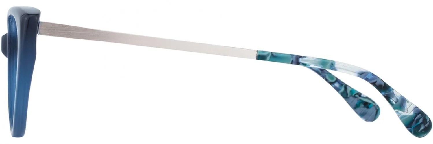 Alan J AJ502 Eyeglasses