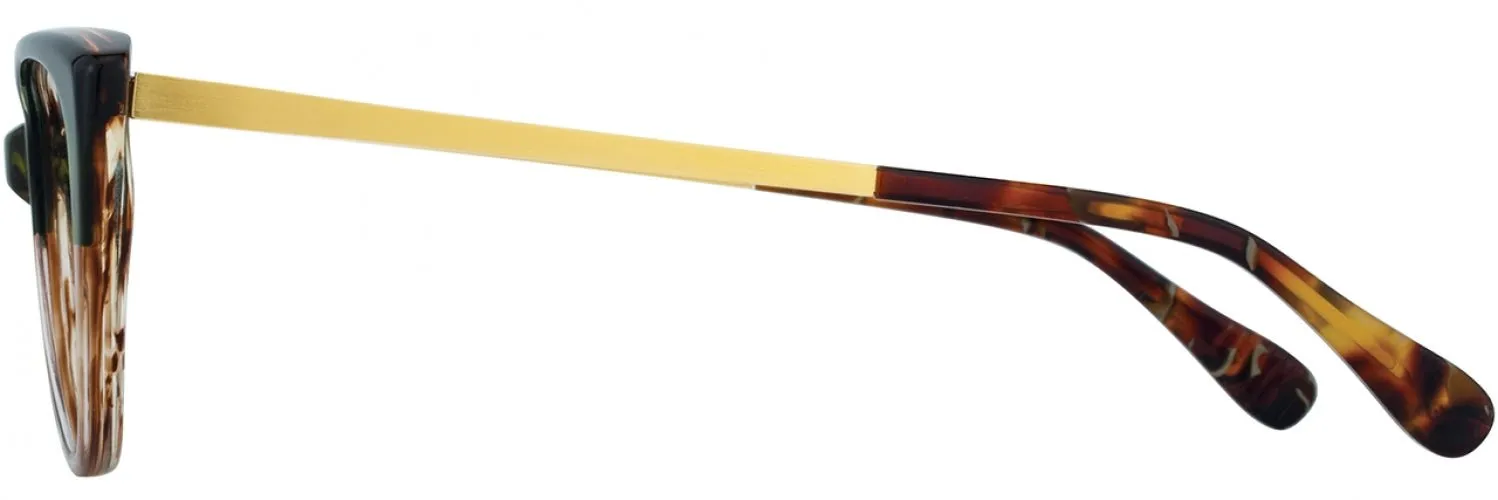 Alan J AJ502 Eyeglasses