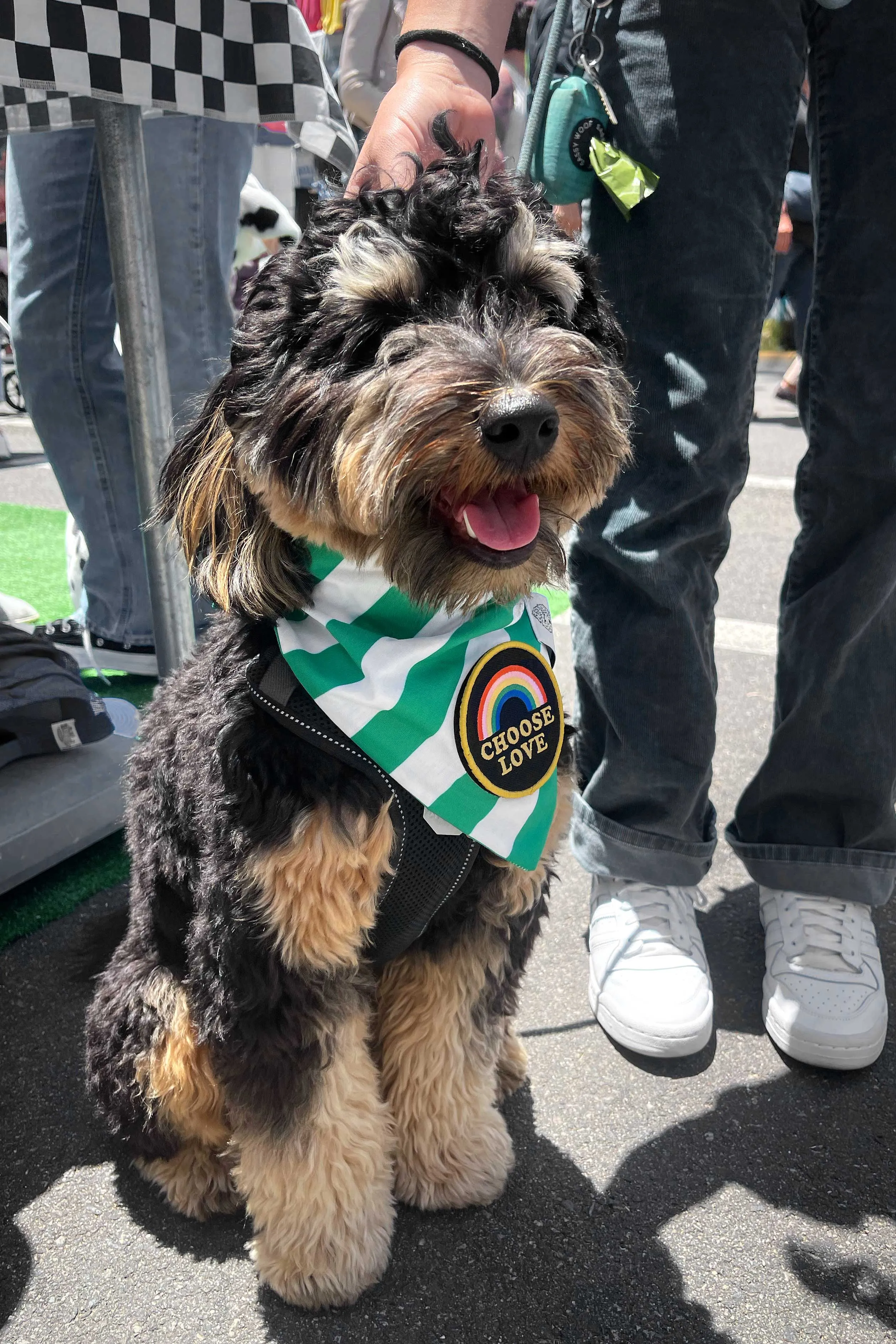 Dog Bandana Stripes - Customize with Interchangeable Velcro Patches