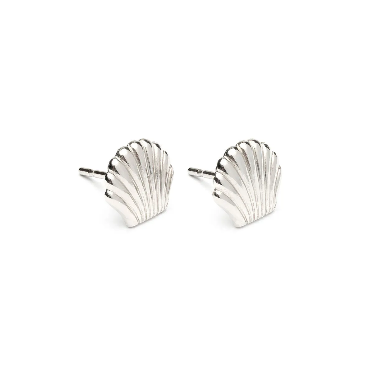 Stainless Steel Seashell Tiny Stud Earrings